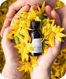 Balmorex - Arnica Oil