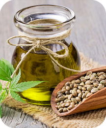 Balmorex - Hemp Seed Oil
