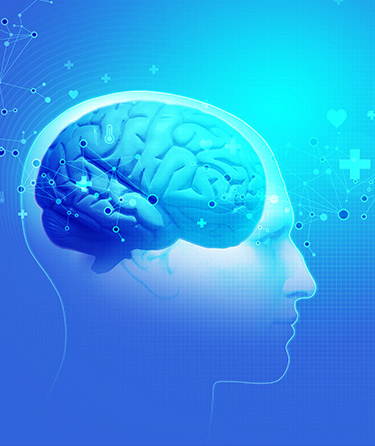 Brain C-13 brain health