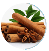 Cinnamomum-cassia (1)
