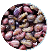 Grape-Seed-Extract (2)