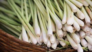 Lemongrass