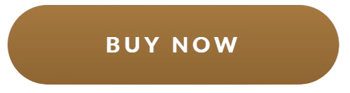 Vision 20 Buy Now